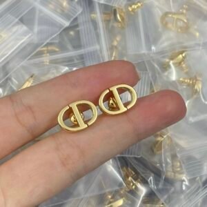 DIOR Earring AS20250729