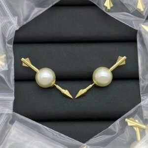 DIOR Earring AS20250723
