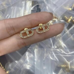 DIOR Earring AS20260312